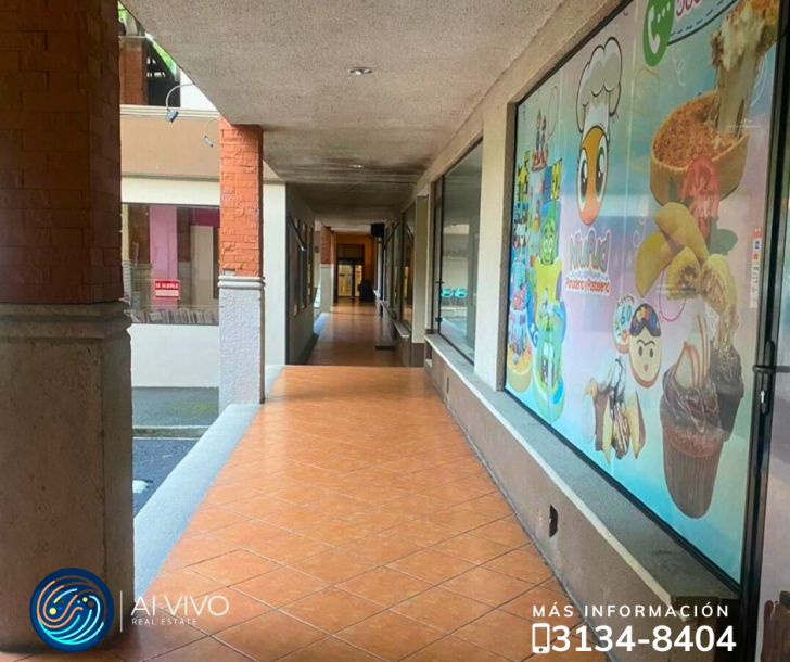 Local Comercial en Venta Condado Frijjanes-2